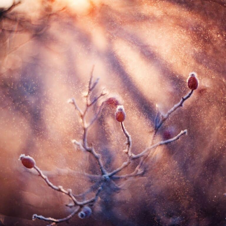 WHat haúppens when your dreams change? a dreamlike photo of a winter scenery